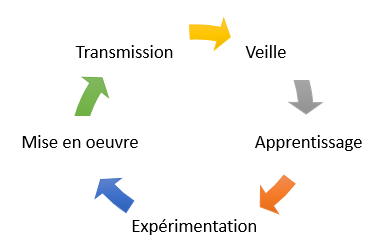 Process Custom Formations